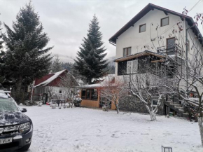 Zoso home